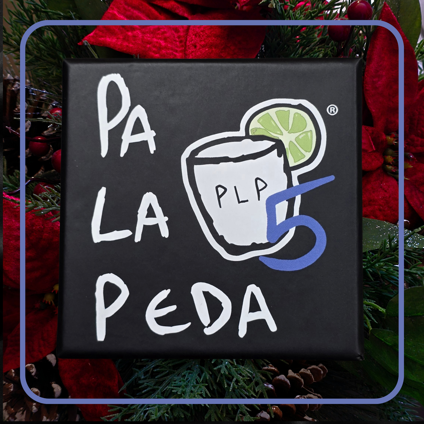 PA LA PEDA 5 CON MIS COMPAS